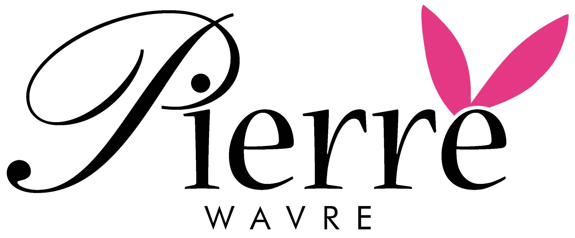 Logo 4